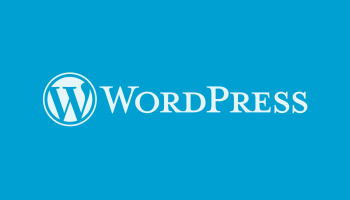 wordpress mistakes