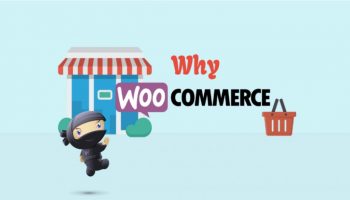 Why choose WooCommerce?